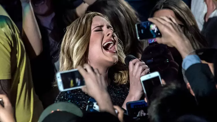 You are an Adele superfan!