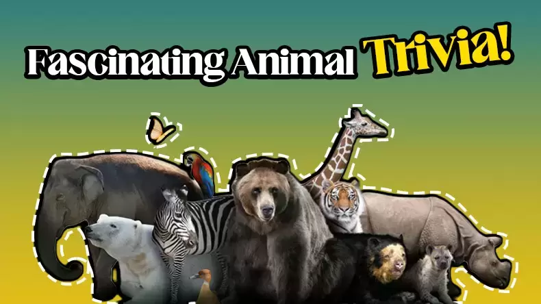 Fun Animal Trivia: Unleash Your Animal Knowledge Quiz