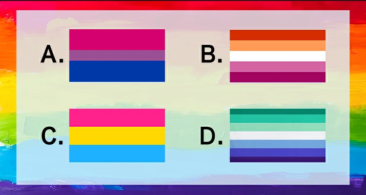Select the Pansexual Flag from the following flags.