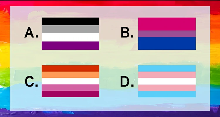 Select the Lesbian Flag from the following flags.