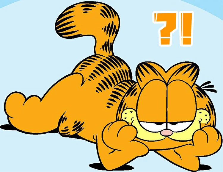 There are still a lot of things you do not know about cats.