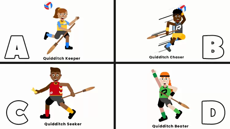 What's your quidditch position?