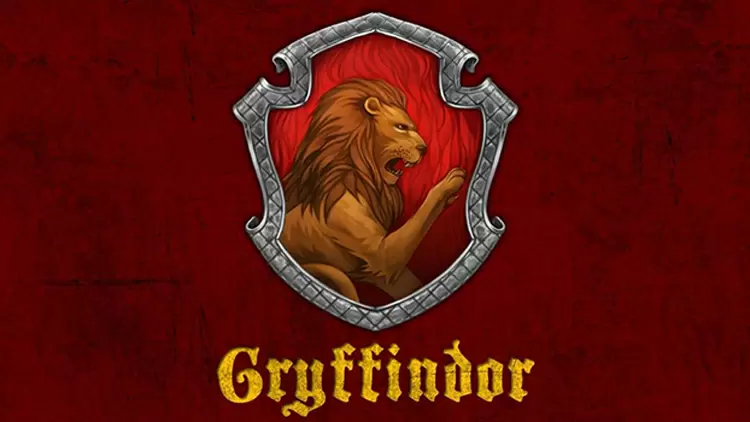 You are a Gryffindor