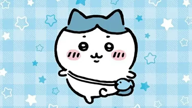 Hachiware (ハチワレ)