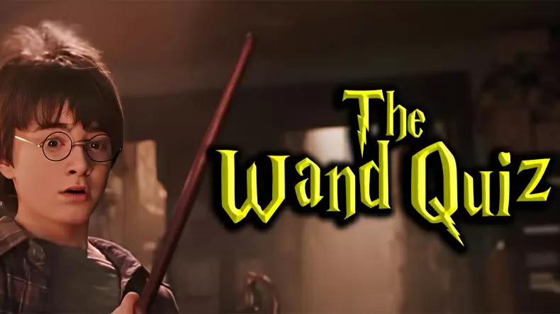 Harry Potter Wand Quiz: Which Wand Will Choose You?