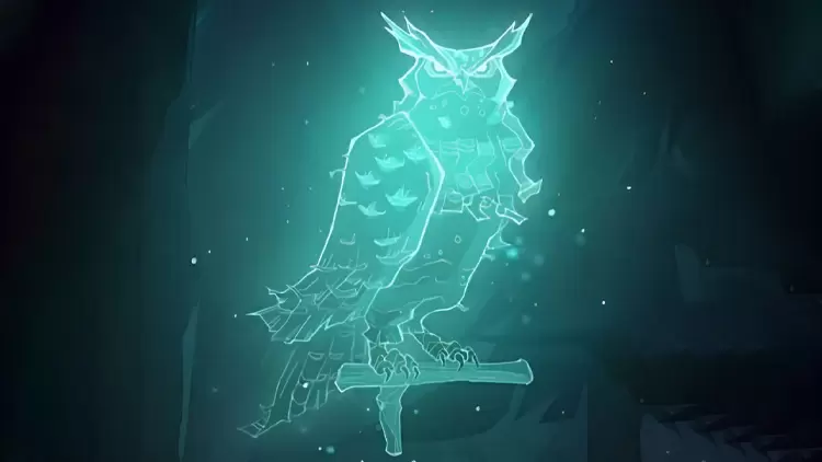 Owl