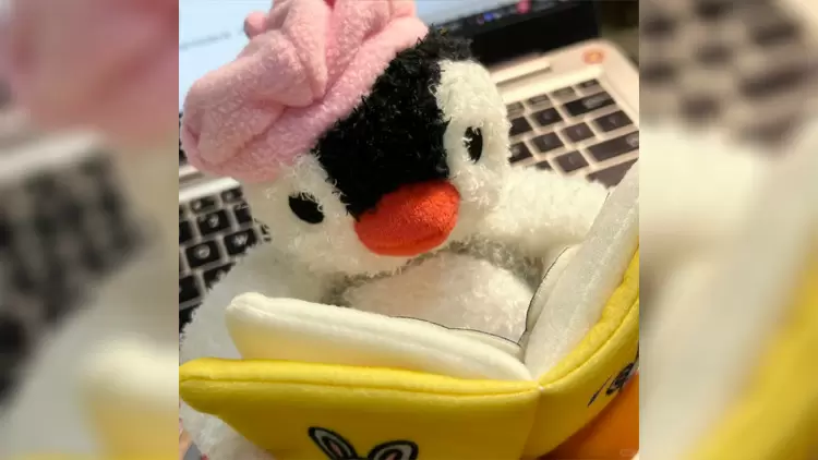 If you were to prepare a time capsule for your future self, what would you put inside?  