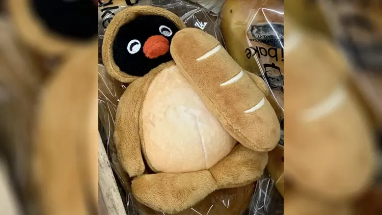 Here are four toys; which one would you choose?  