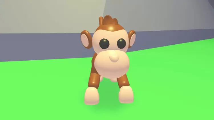 Monkey