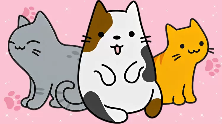 Cats are your perfect pet !