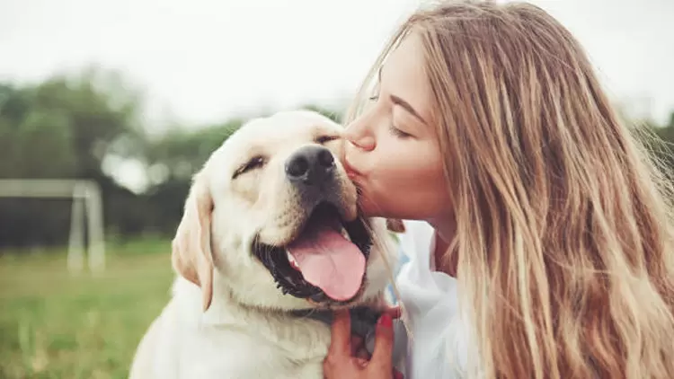 You are very trusted by animals. 