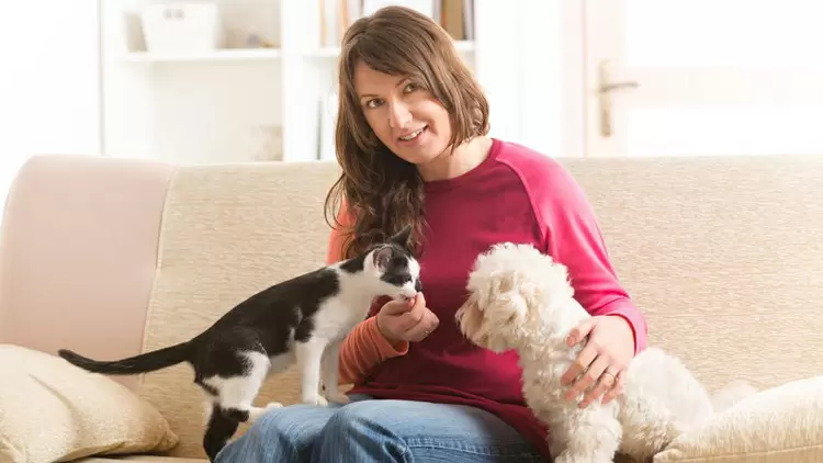 Many animals will trust you.