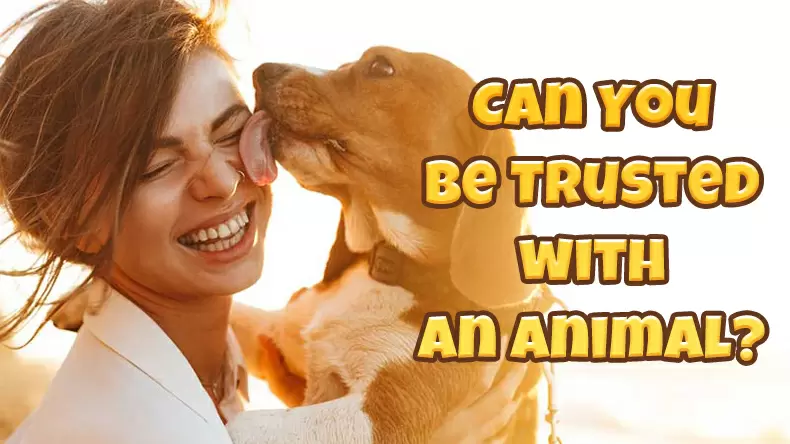Trust Animals Quiz: Can You be Trusted with an Animal?