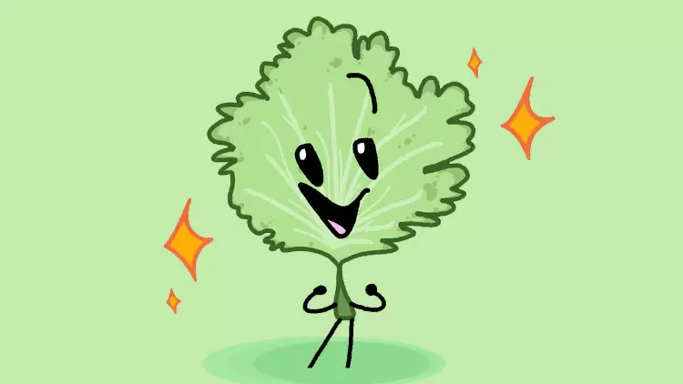 Coriander (Cilantro)