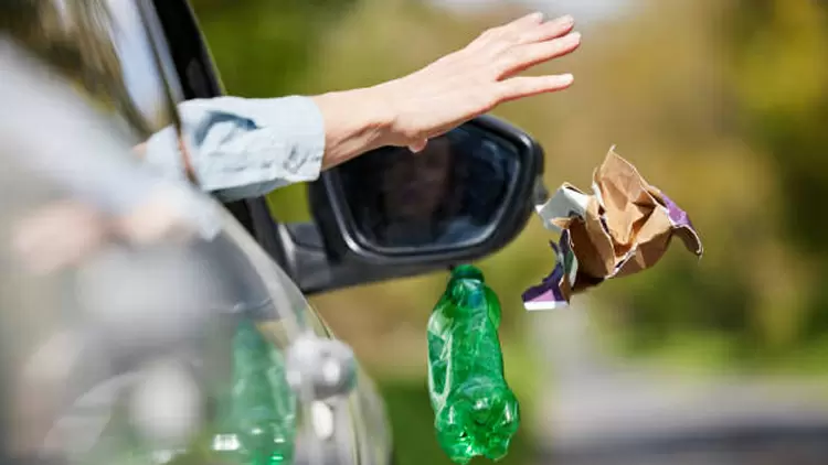 What are your thoughts when you see someone littering on the road?