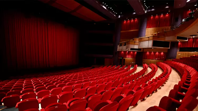 How often do you participate in arts or cultural activities: