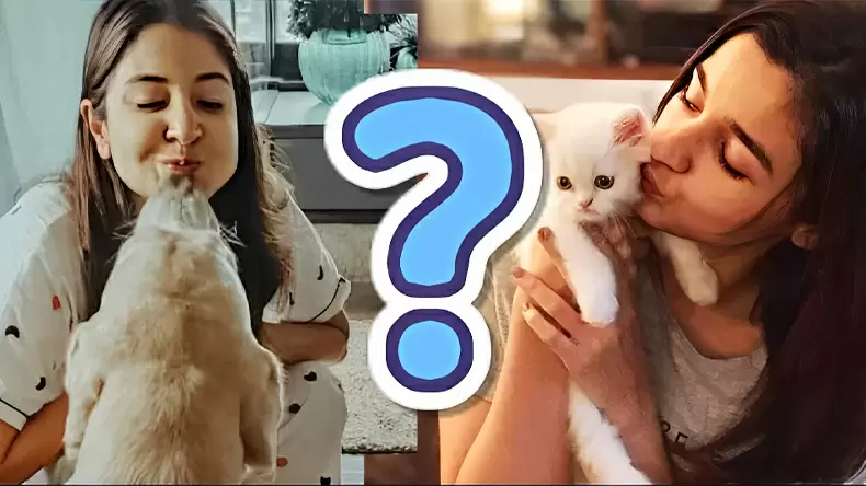 Social Animal Quiz: What Animal Represents Your Social Style?