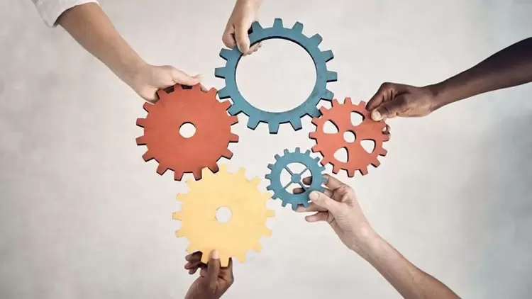 How do you approach group tasks?