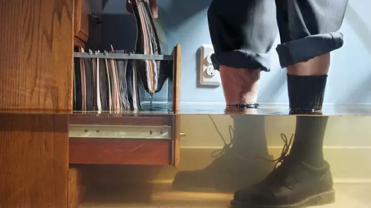 How organized are you? 