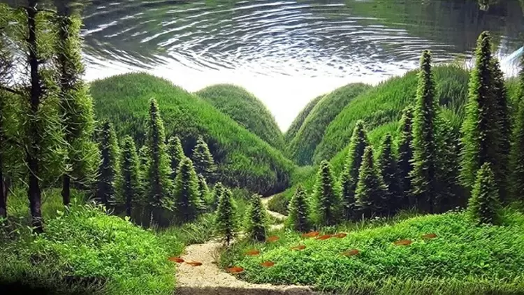 I appreciate the beauty and uniqueness of the world around me.