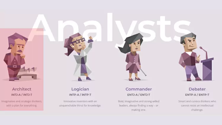 The Architect (INTJ)