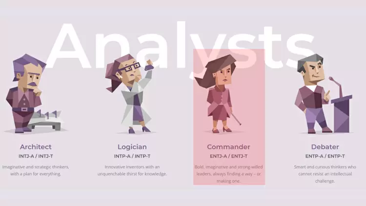 The Commander (ENTJ)