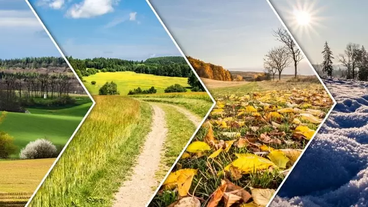 What's your favorite season of the year?