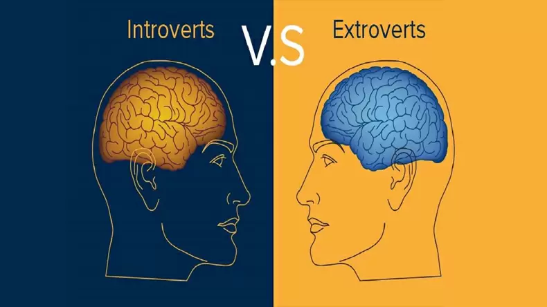 Introversion /Extroversion Test: Am I an I or an E?