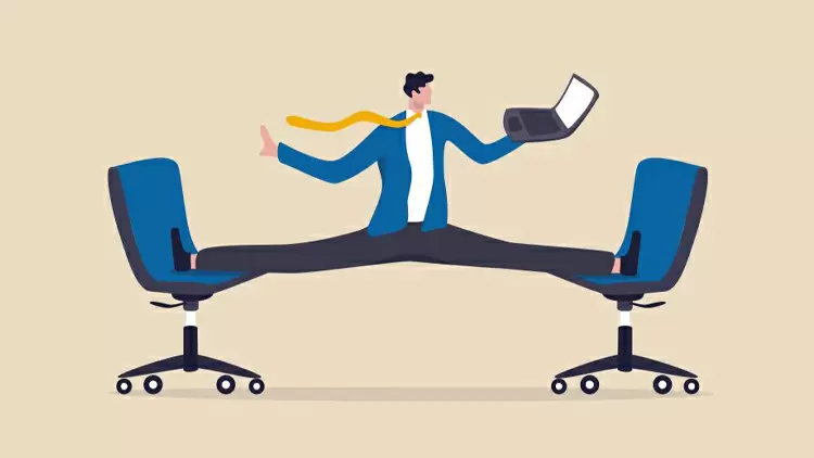 Are you extremely adaptable and flexible?