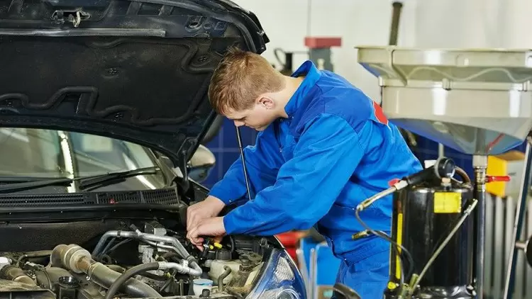 I am interested in careers as an automobile driver and auto mechanic.