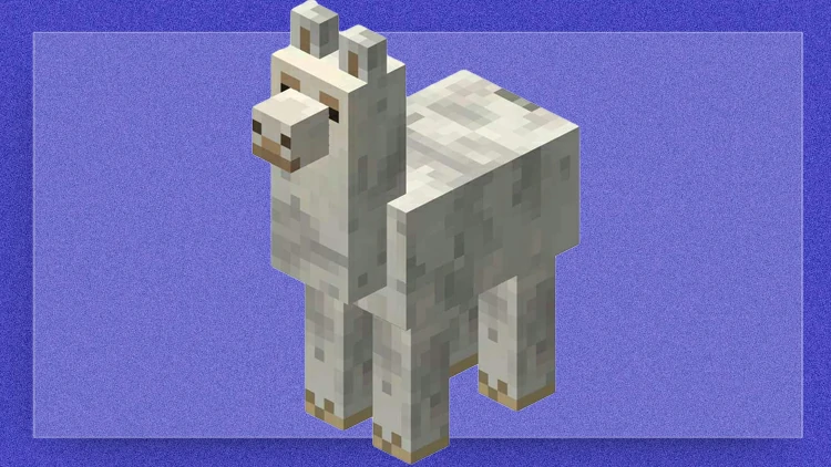 Llama