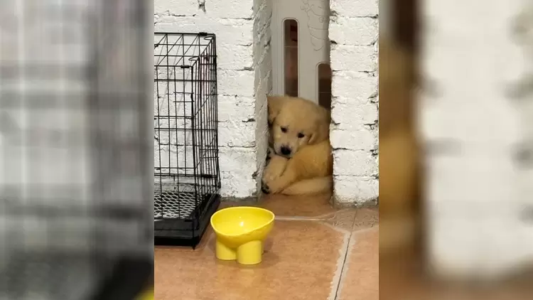 Private Emotional Corner