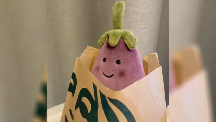 Vivacious Vegetable Aubergine